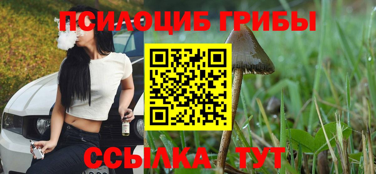 Галлюциногенные грибы мицелий  Псилоцибиновые грибы Psilocybe  Великие Луки  Вход с VPN 